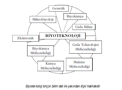 biyoteknoloji4