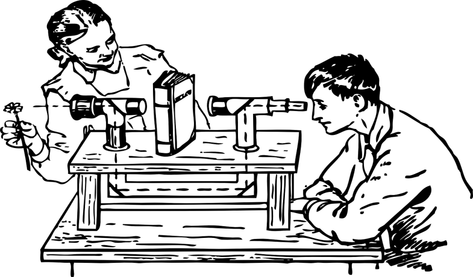 proje2